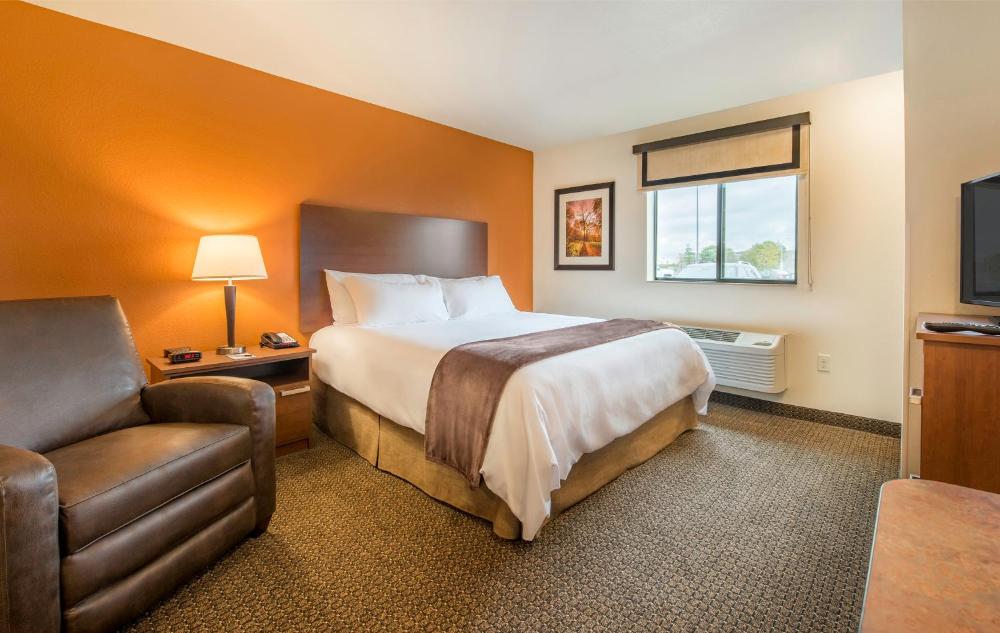 Queen Room - Hearing Accessible - Roll In Shower interior